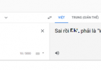 Google dùng từ lóng mắng vỗ mặt người dùng Việt vì viết sai câu tiếng Anh - 1