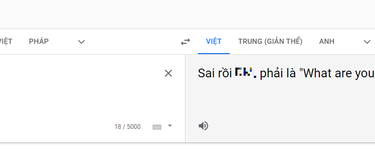 Google dùng từ lóng mắng vỗ mặt người dùng Việt vì viết sai câu tiếng Anh - 1