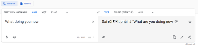 Google dùng từ lóng mắng vỗ mặt người dùng Việt vì viết sai câu tiếng Anh - 1