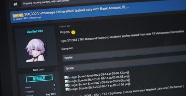 Hồ sơ của 300.000 sinh viên Việt Nam bị rao bán trên Internet - 1