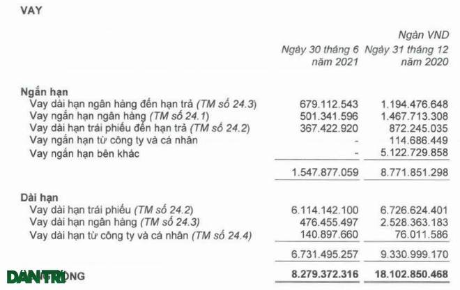 Lãi bốc hơi 55% sau kiểm toán, dấu hỏi hoạt động liên tục với HAGL - 2