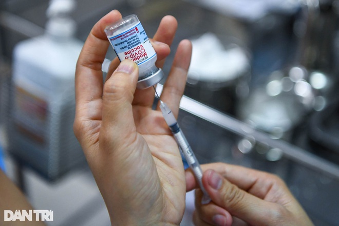 Bộ Y tế: Ưu tiên vắc xin cho lực lượng y tế, người cao tuổi, có bệnh nền - 1
