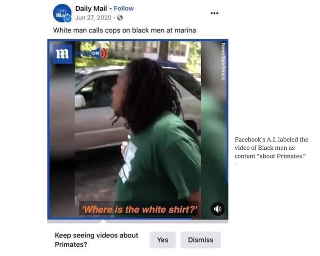 Facebook nói gì khi AI nhận nhầm người da màu là động vật linh trưởng? - 1