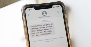 Rộ tin nhắn lừa đảo tuyển dụng nhân viên TikTok, Telegram - 1